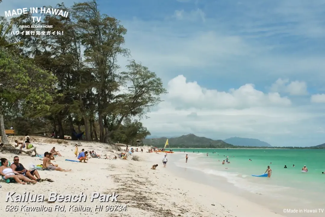 Kailua Beach Park （カイルア ビーチパーク）